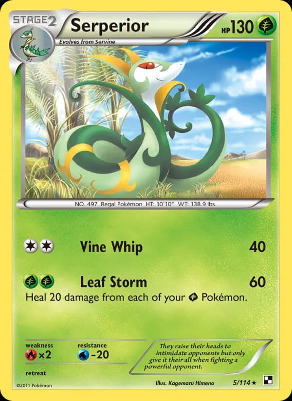 Serperior 5/114, Black & White